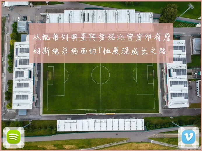 从配角到明星阿努诺比曾穿印有詹姆斯绝杀场面的T恤展现成长之路